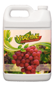 vitazyme3jug